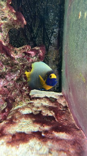 Acvariu  - imagine 6 Acvariu  - imagine 6