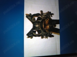 Trofee capra neagra - imagine 3