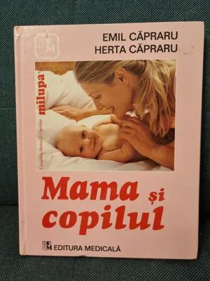 Mama si copilul E.H.Capraru  - imagine 3