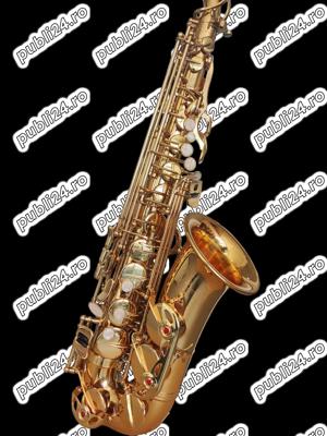 Set Saxofon Alto Parrot ZL118 Auriu - imagine 4