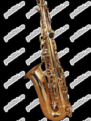 Set Saxofon Alto Parrot ZL118 Auriu - imagine 5