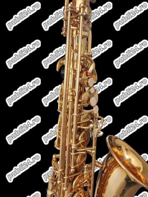 Set Saxofon Alto Parrot ZL118 Auriu - imagine 2