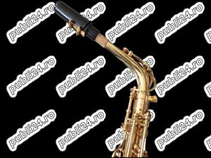 Set Saxofon Alto Parrot ZL118 Auriu - imagine 6