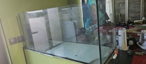 Acvariu mare pt pești, broaște etc. 100x40x46 cm