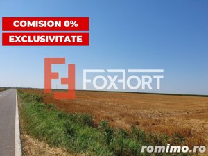 COMISION 0% Teren extravilan 4,47 ha, 800m front stradal, Peciu Nou - ID V5491 - imagine 4