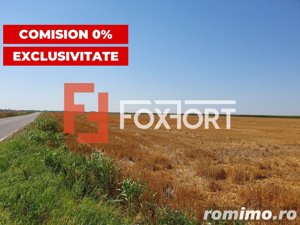 COMISION 0% Teren extravilan 4,47 ha, 800m front stradal, Peciu Nou - ID V5491 - imagine 2