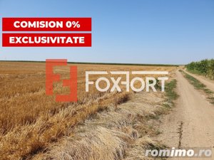 COMISION 0% Teren extravilan 4,47 ha, 800m front stradal, Peciu Nou - ID V5491 - imagine 6