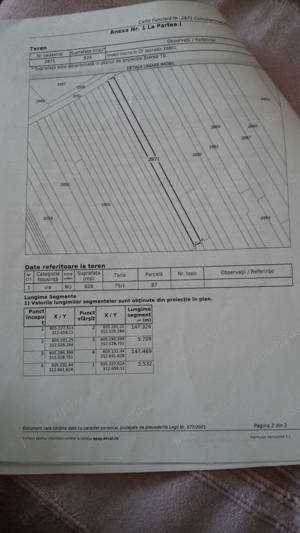 Teren la padure, Frumusani 8643mp, Proprietar Comision 0% - imagine 3