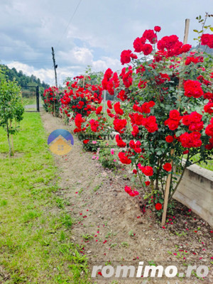 2 CASE de VÂNZARE în comuna GRINȚIEȘ – județul NEAMȚ  - imagine 11  2 CASE de VÂNZARE în comuna GRINȚIEȘ – județul NEAMȚ  - imagine 11