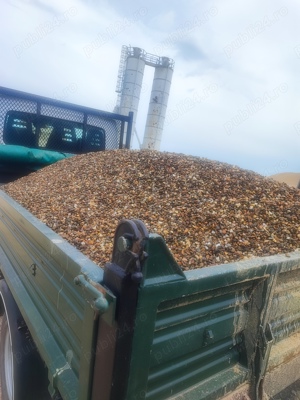 Transport basculabil