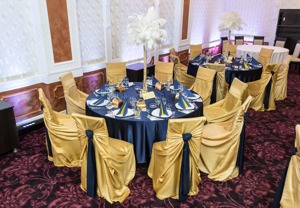 Vand huse scaune pentru nunti