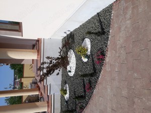 Servicii Complete de Amenajare: Pavaje, Grădini și Piatră Naturală