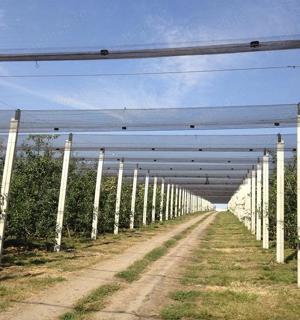 Spalieri din beton precomprimat   dimensiuni la comanda