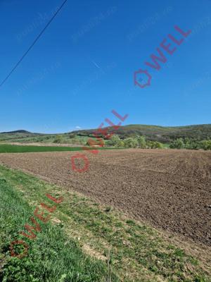 De vânzare teren extravilan ( 3 parcele)  în Com. Homorod, Jud. Brașov - imagine 4