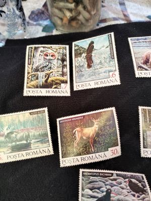 Timbre filatelia romania vechi - imagine 2