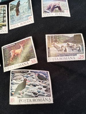 Timbre filatelia romania vechi - imagine 3