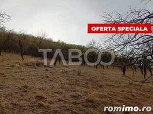 Teren extravilan parcelabil 8.500 mp pretabil cabana zona Inuri Alba