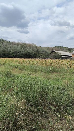 Vând patru parcele de teren in Vețișoara-Burdufi, județul Argeș  - imagine 4