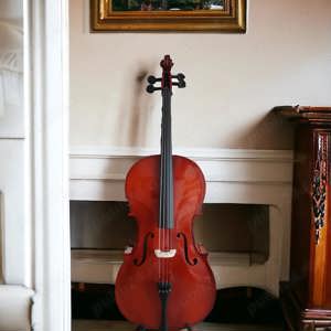 Set Violoncel Flame Natur 4 4 + husa + arcus