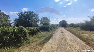 Loc de casa si teren cultivat cu vita de vie 1,28 Ha Santimreu Bihor - imagine 3