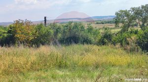 Loc de casa si teren cultivat cu vita de vie 1,28 Ha Santimreu Bihor - imagine 13