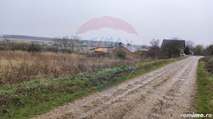 Loc de casa si teren cultivat cu vita de vie 1,28 Ha Santimreu Bihor - imagine 7