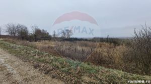 Loc de casa si teren cultivat cu vita de vie 1,28 Ha Santimreu Bihor - imagine 10