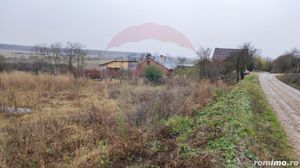 Loc de casa si teren cultivat cu vita de vie 1,28 Ha Santimreu Bihor - imagine 9