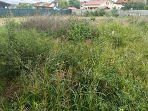 cosit iarba  tuns gazon  sapam cu motocultoru etc - imagine 5