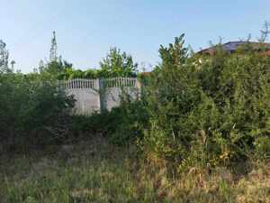 cosit iarba  tuns gazon  sapam cu motocultoru etc - imagine 3