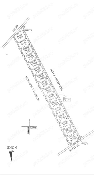 Domnesti Teghes - teren de vanzare parcelat - 10.000mp cu deschidere la padure  - imagine 3