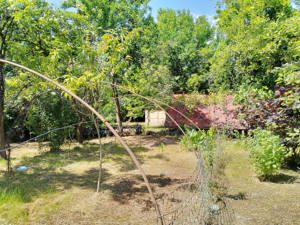 Teren Ultra-Central în Curtea de Argeș Ideal pentru Dezvoltare Comercială și Turistică! - imagine 7