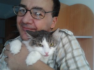 Ingrijire pisici la domiciliul clientului