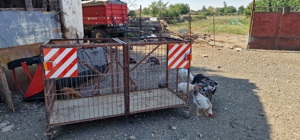 Cusca transport tractor - imagine 2