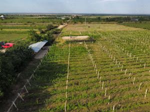 De 10 ori mai ieftin la 10 km de Focsani loturi casa in Odobesti, Vrancea - imagine 8