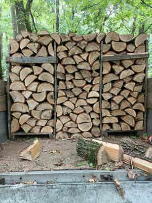 Lemne de foc esenta tare