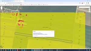 Teren intravilan | 16800 mp | Santandrei - imagine 5