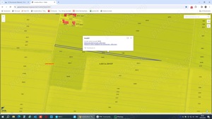 Teren intravilan | 16800 mp | Santandrei - imagine 6