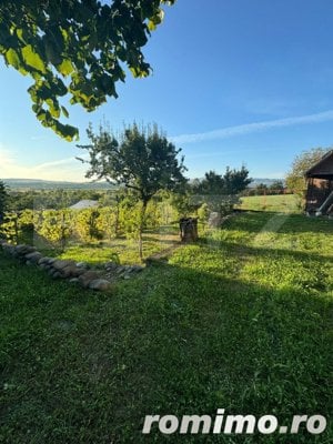 Casa in Aluniș, 10.000 mp de teren, cu vie si livada, vedere panoramica - imagine 3