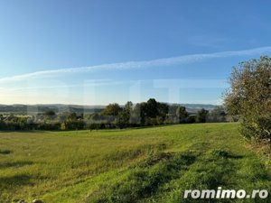 Casa in Aluniș, 10.000 mp de teren, cu vie si livada, vedere panoramica - imagine 4