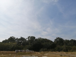 Promovam teren locuințe și funcțiuni complementare, SAD la parter și doua apartamente, 477 mp