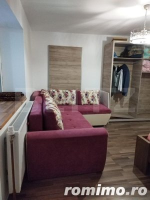 Casa 10 camere, teren 3763 mp, 240 utili, Peciu Nou - imagine 16