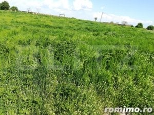 Teren mare, 2,5 HA, front la sosea, investitii in Sanandrei!