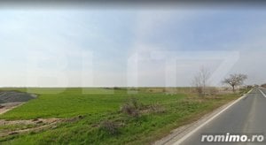 Teren de 5,3 ha pe DN6 , Timisoara - Cenad