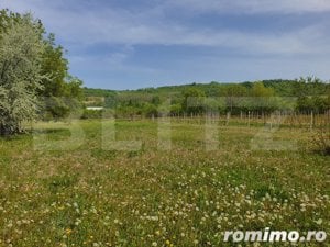 Teren vanzare STEFANESTI, 3800mp, toate utilitatile la limita proprietatii