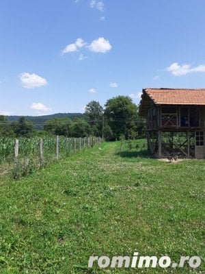 Teren intravilan cu suprafata de 1980 mp, in zona Malureni