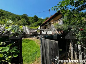 Casă la munte cu teren generos de 9340mp în zona Căpâlna - Valea Sebeșului - imagine 5