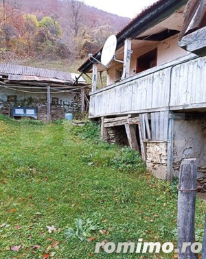 Casă la munte cu teren generos de 9340mp în zona Căpâlna - Valea Sebeșului - imagine 10