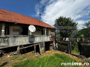 Casă la munte cu teren generos de 9340mp în zona Căpâlna - Valea Sebeșului - imagine 4