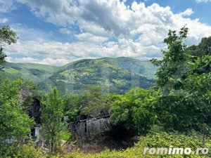 Casă la munte cu teren generos de 9340mp în zona Căpâlna - Valea Sebeșului - imagine 6